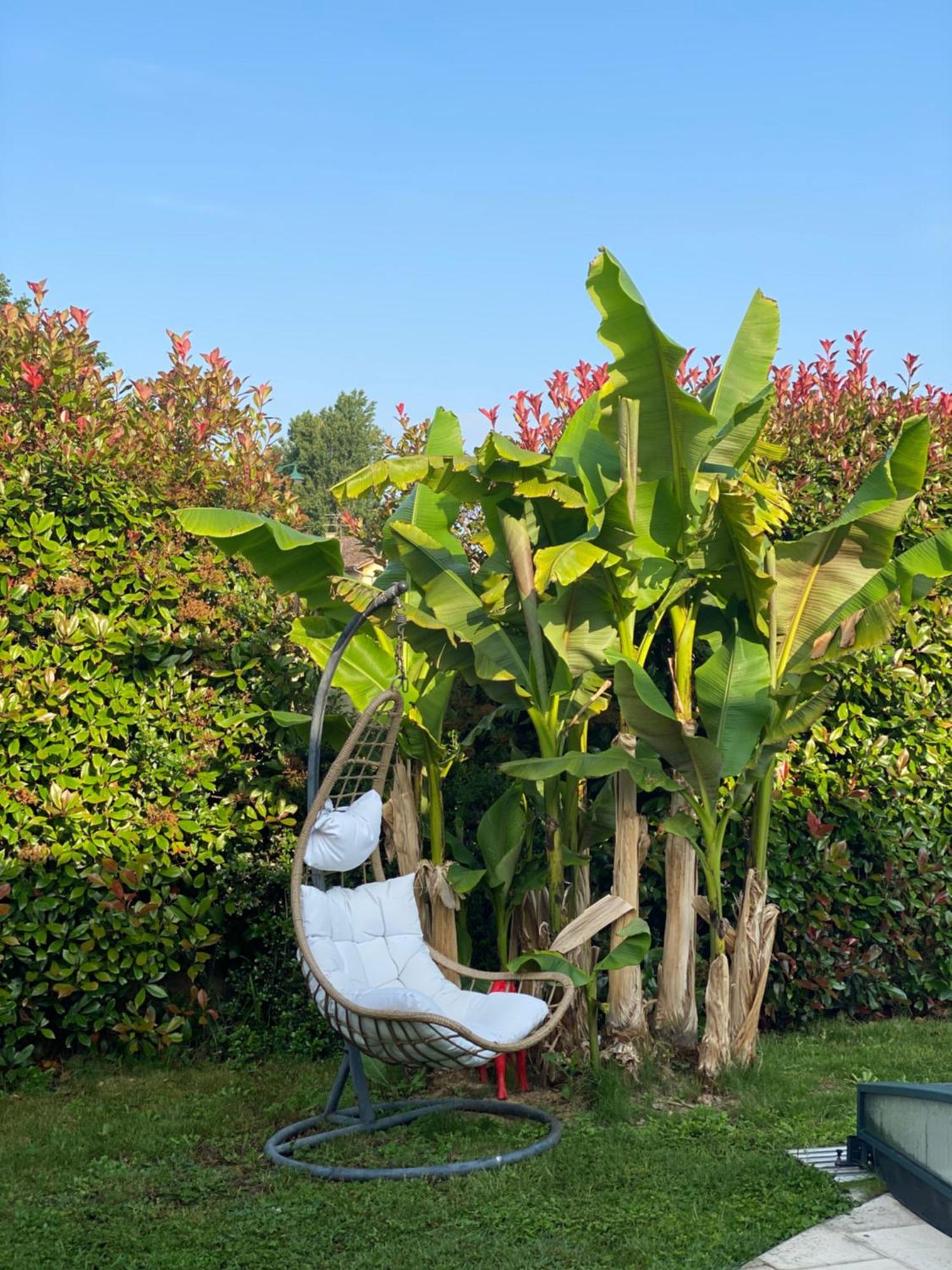 Lamaison-D'Ose Chatillon-sur-Chalaronne Ngoại thất bức ảnh